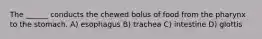 The ______ conducts the chewed bolus of food from the pharynx to the stomach. A) esophagus B) trachea C) intestine D) glottis