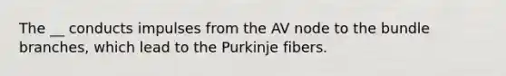 The __ conducts impulses from the AV node to the bundle branches, which lead to the Purkinje fibers.