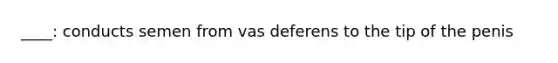 ____: conducts semen from vas deferens to the tip of the penis