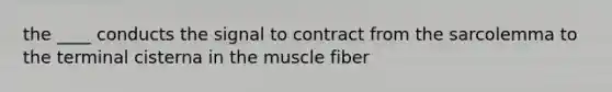 the ____ conducts the signal to contract from the sarcolemma to the terminal cisterna in the muscle fiber