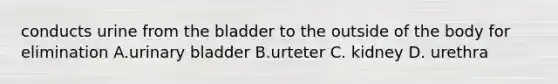 conducts urine from the bladder to the outside of the body for elimination A.urinary bladder B.urteter C. kidney D. urethra