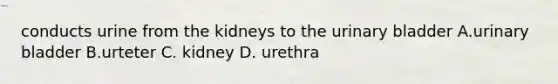 conducts urine from the kidneys to the urinary bladder A.urinary bladder B.urteter C. kidney D. urethra