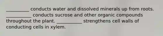 __________ conducts water and dissolved minerals up from roots. ___________ conducts sucrose and other <a href='https://www.questionai.com/knowledge/kSg4ucUAKW-organic-compounds' class='anchor-knowledge'>organic compounds</a> throughout the plant. ___________ strengthens cell walls of conducting cells in xylem.