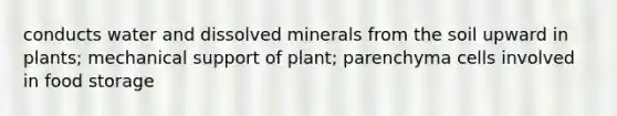 conducts water and dissolved minerals from the soil upward in plants; mechanical support of plant; parenchyma cells involved in food storage