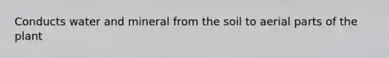 Conducts water and mineral from the soil to aerial parts of the plant