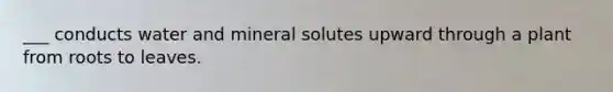 ___ conducts water and mineral solutes upward through a plant from roots to leaves.