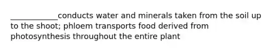 ____________conducts water and minerals taken from the soil up to the shoot; phloem transports food derived from photosynthesis throughout the entire plant