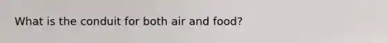 What is the conduit for both air and food?