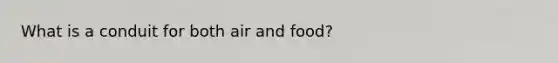 What is a conduit for both air and food?