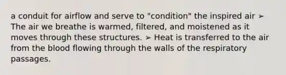 a conduit for airflow and serve to "condition" the inspired air ➢ The air we breathe is warmed, filtered, and moistened as it moves through these structures. ➢ Heat is transferred to the air from the blood flowing through the walls of the respiratory passages.