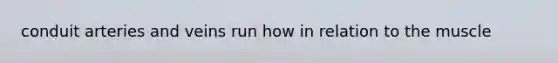 conduit arteries and veins run how in relation to the muscle