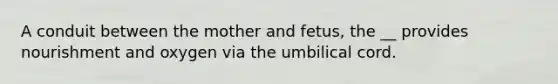 A conduit between the mother and fetus, the __ provides nourishment and oxygen via the umbilical cord.