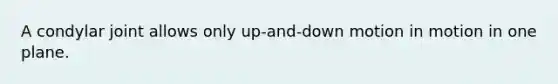 A condylar joint allows only up-and-down motion in motion in one plane.