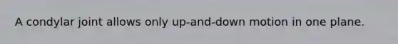 A condylar joint allows only up-and-down motion in one plane.