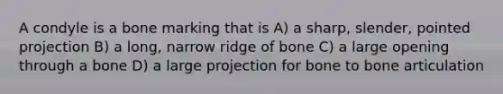 A condyle is a bone marking that is A) a sharp, slender, pointed projection B) a long, narrow ridge of bone C) a large opening through a bone D) a large projection for bone to bone articulation