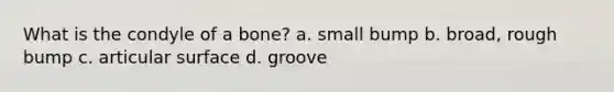 What is the condyle of a bone? a. small bump b. broad, rough bump c. articular surface d. groove