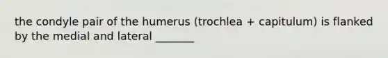 the condyle pair of the humerus (trochlea + capitulum) is flanked by the medial and lateral _______