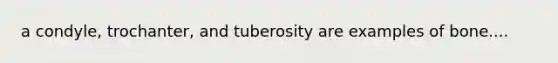 a condyle, trochanter, and tuberosity are examples of bone....