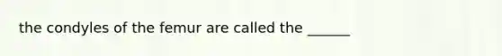 the condyles of the femur are called the ______