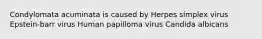 Condylomata acuminata is caused by Herpes simplex virus Epstein-barr virus Human papilloma virus Candida albicans