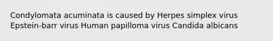 Condylomata acuminata is caused by Herpes simplex virus Epstein-barr virus Human papilloma virus Candida albicans