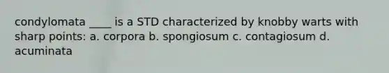 condylomata ____ is a STD characterized by knobby warts with sharp points: a. corpora b. spongiosum c. contagiosum d. acuminata