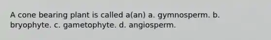 A cone bearing plant is called a(an) a. gymnosperm. b. bryophyte. c. gametophyte. d. angiosperm.