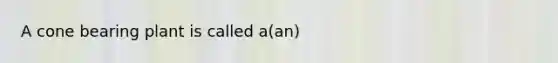 A cone bearing plant is called a(an)