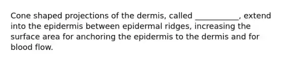 Cone shaped projections of the dermis, called ___________, extend into the epidermis between epidermal ridges, increasing the surface area for anchoring the epidermis to the dermis and for blood flow.