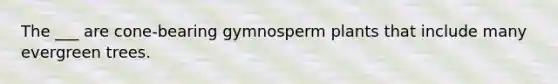 The ___ are cone-bearing gymnosperm plants that include many evergreen trees.