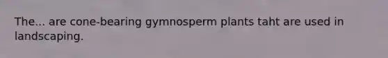 The... are cone-bearing gymnosperm plants taht are used in landscaping.