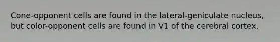 Cone-opponent cells are found in the lateral-geniculate nucleus, but color-opponent cells are found in V1 of the cerebral cortex.
