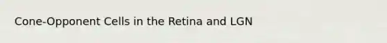 Cone-Opponent Cells in the Retina and LGN