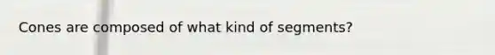 Cones are composed of what kind of segments?