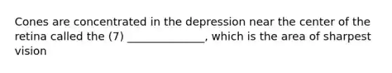 Cones are concentrated in the depression near the center of the retina called the (7) ______________, which is the area of sharpest vision