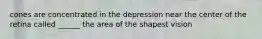 cones are concentrated in the depression near the center of the retina called ______ the area of the shapest vision