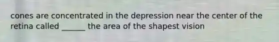 cones are concentrated in the depression near the center of the retina called ______ the area of the shapest vision