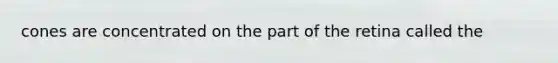 cones are concentrated on the part of the retina called the