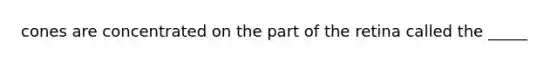 cones are concentrated on the part of the retina called the _____