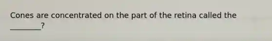 Cones are concentrated on the part of the retina called the ________?