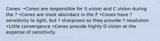 Cones: •Cones are responsible for S vision and C vision during the ? •Cones are most abundant in the F •Cones have ? sensitivity to light, but ? sharpness so they provide ? resolution •Little convergence •Cones provide highly D vision at the expense of sensitivity.