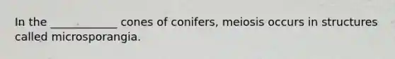 In the ____________ cones of conifers, meiosis occurs in structures called microsporangia.