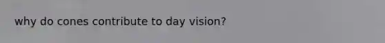 why do cones contribute to day vision?