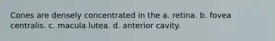 Cones are densely concentrated in the a. retina. b. fovea centralis. c. macula lutea. d. anterior cavity.