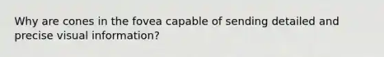 Why are cones in the fovea capable of sending detailed and precise visual information?