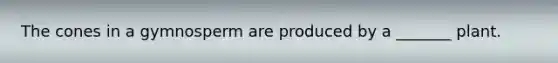 The cones in a gymnosperm are produced by a _______ plant.