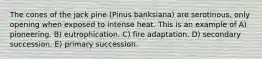 The cones of the jack pine (Pinus banksiana) are serotinous, only opening when exposed to intense heat. This is an example of A) pioneering. B) eutrophication. C) fire adaptation. D) secondary succession. E) primary succession.