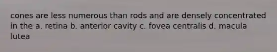 cones are less numerous than rods and are densely concentrated in the a. retina b. anterior cavity c. fovea centralis d. macula lutea