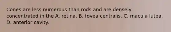 Cones are less numerous than rods and are densely concentrated in the A. retina. B. fovea centralis. C. macula lutea. D. anterior cavity.