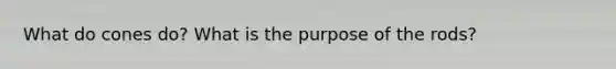 What do cones do? What is the purpose of the rods?